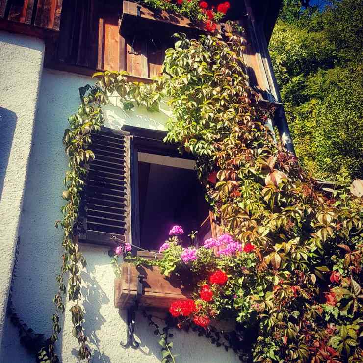 IMG_20180920_134131_371