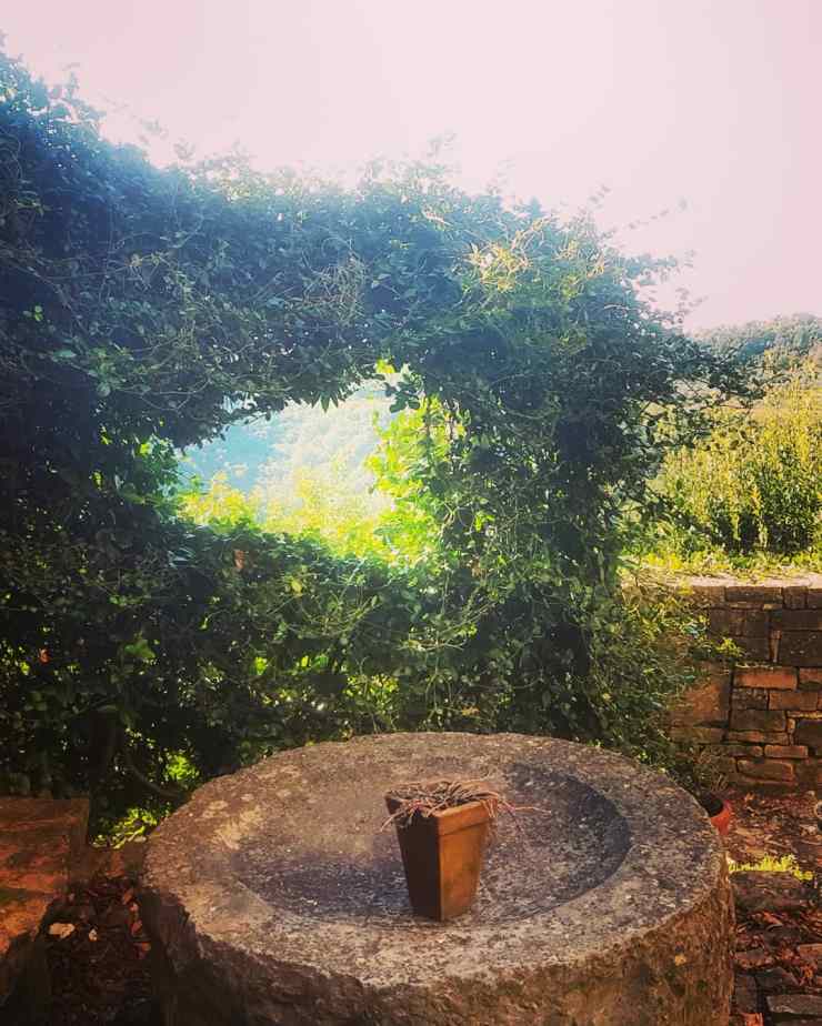 IMG_20181003_195122_495