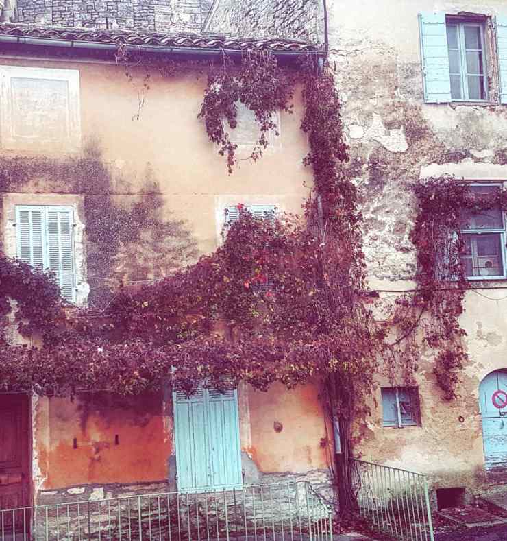 IMG_20181104_200803_738