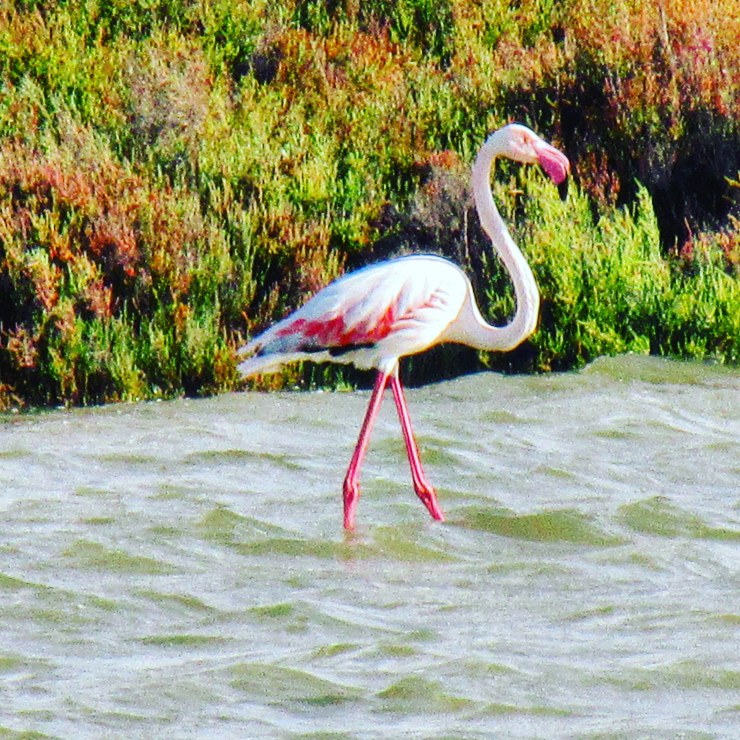 IMG_20181106_120322_156