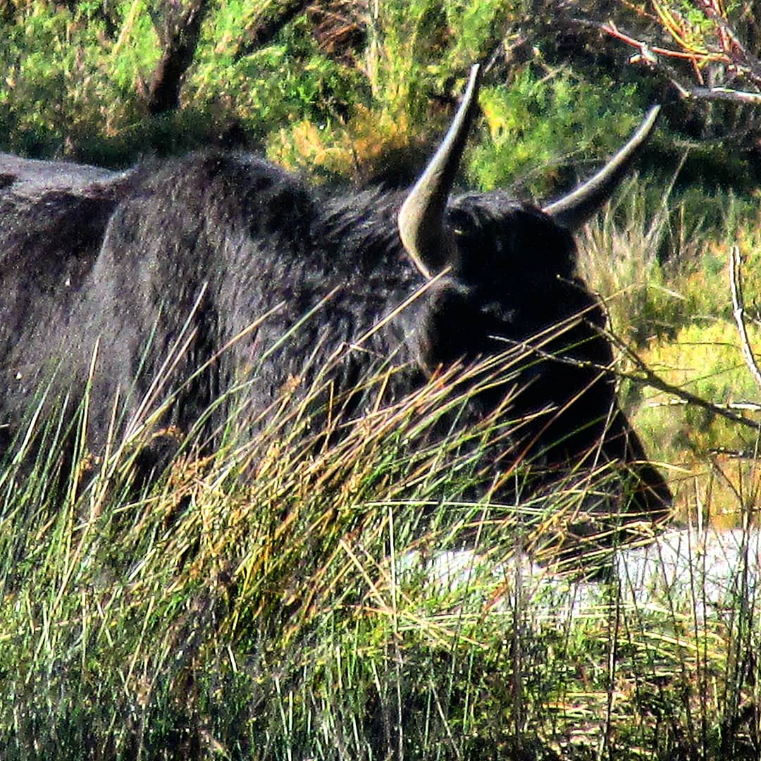 IMG_20181106_204306_929