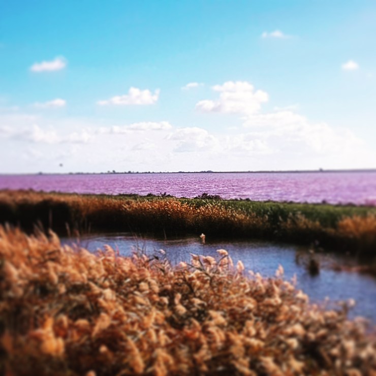 IMG_20181106_205207_706