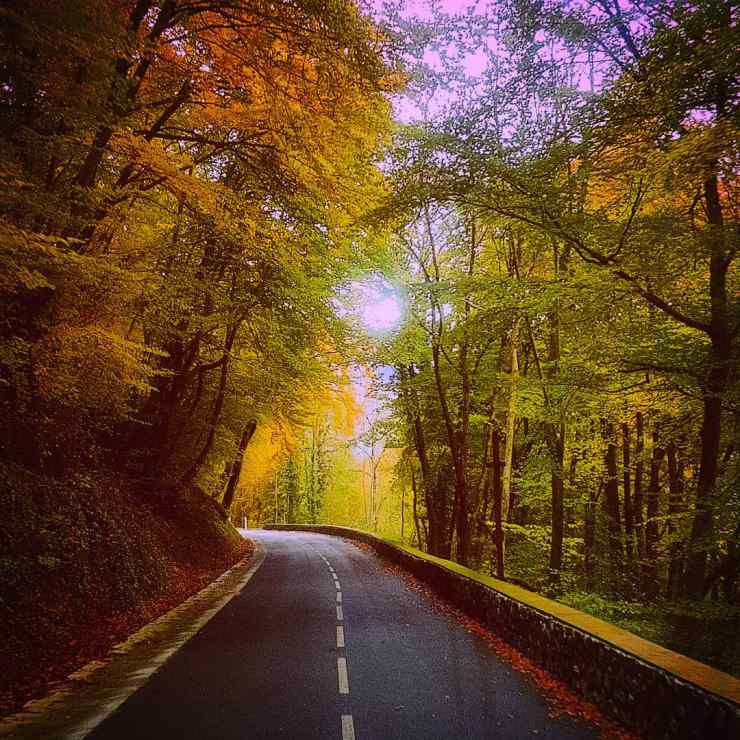 IMG_20181108_192247_782