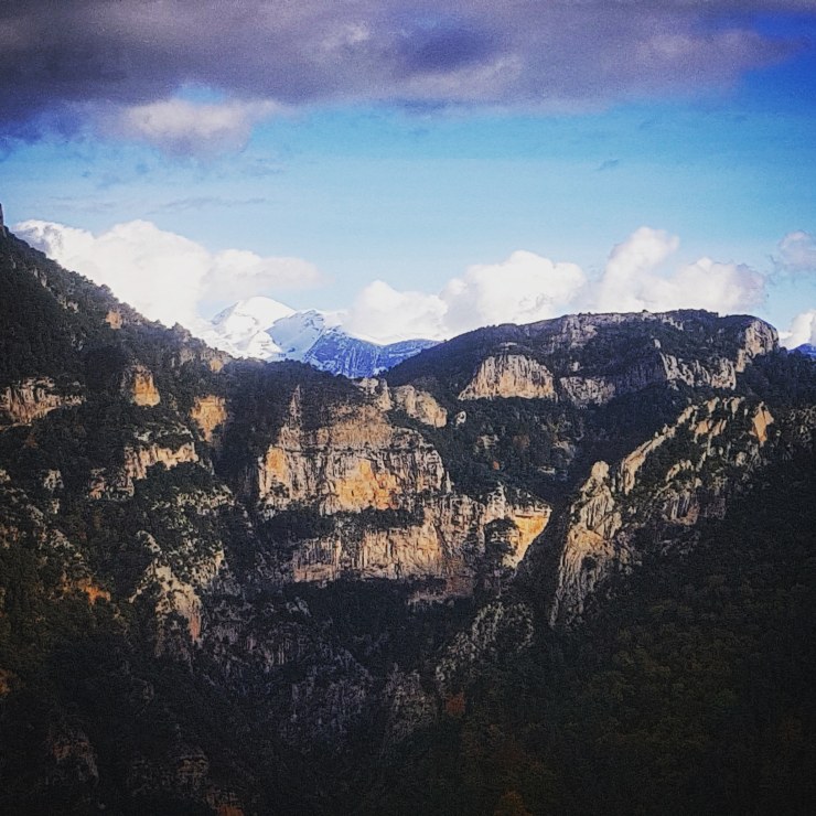 IMG_20181109_174442_921