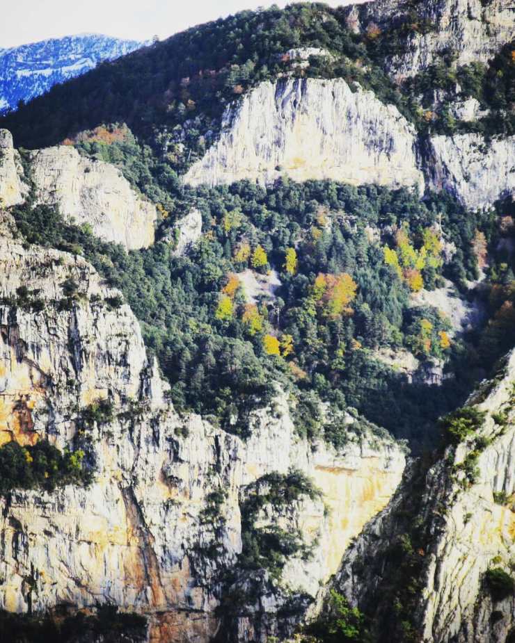 IMG_20181110_111221_334